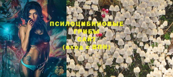 винт Нягань