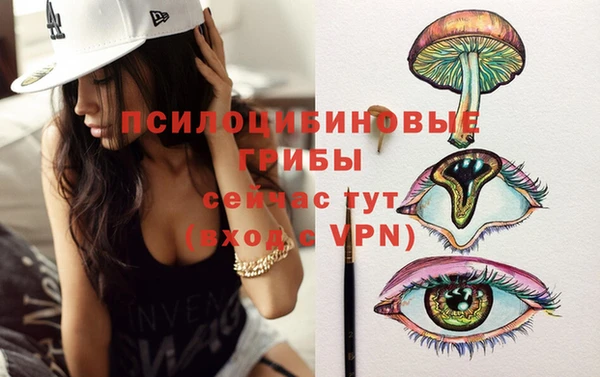 синтетический гашиш Новозыбков