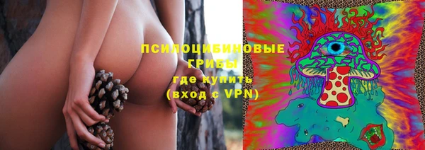 винт Нягань